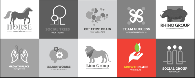 A showcase of our professional portfolio work